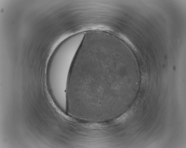 X0000084051079200703022209