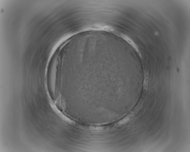 X0000084051080200703022208