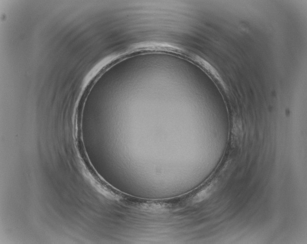 X0000084051082200703022208