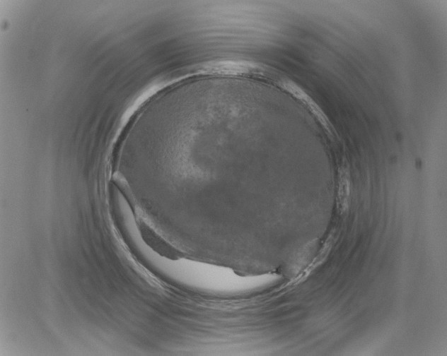 X0000084051083200703022208