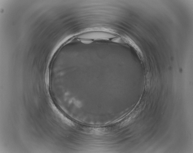 X0000084051084200703022208