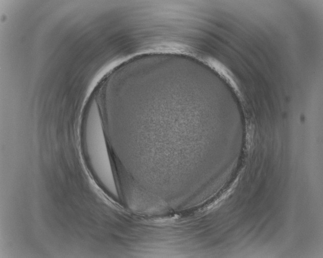 X0000084051085200703022208