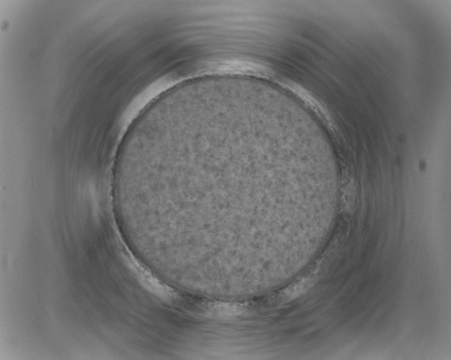 X0000084051086200703022208