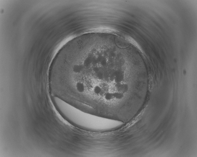 X0000084051087200703022208