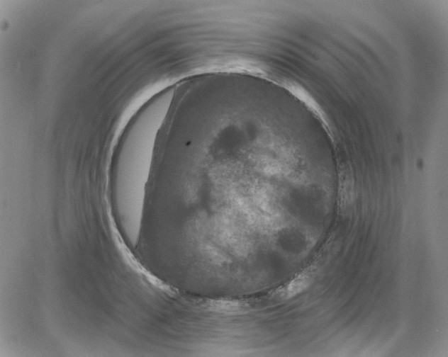 X0000084051088200703022208