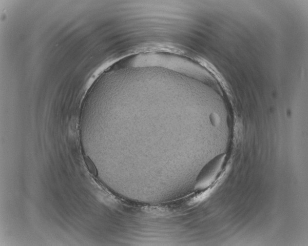 X0000084051089200703022208