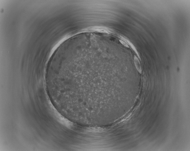 X0000084051091200703022208