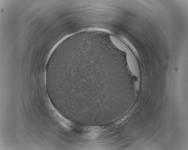 X0000084051092200703022208