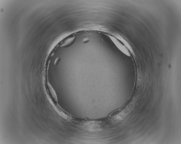 X0000084051093200703022208