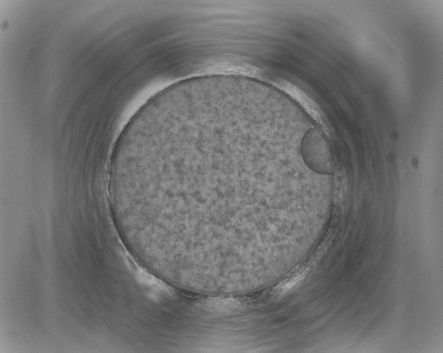 X0000084051094200703022208