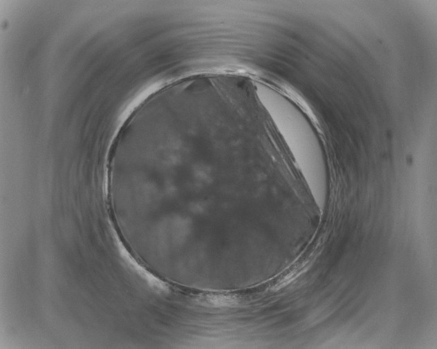 X0000084051095200703022208