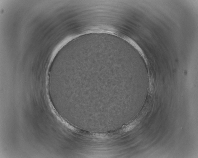 X0000084051096200703022208