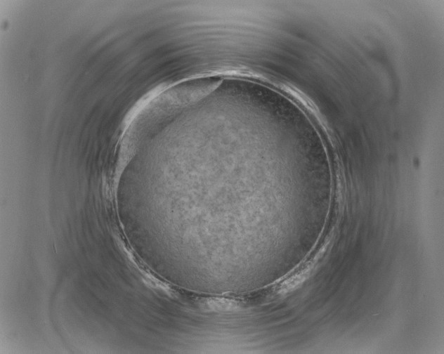 X0000084051097200703022208