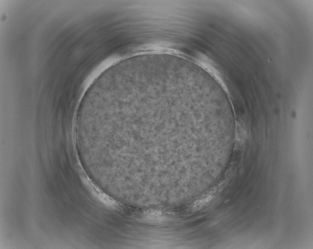 X0000084051098200703022208