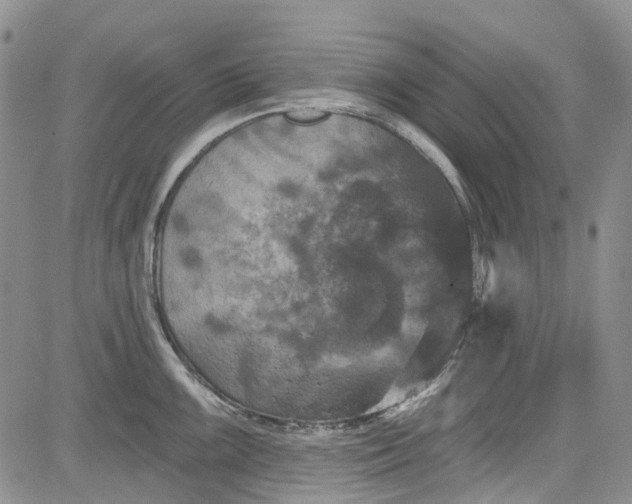 X0000084051099200703022208