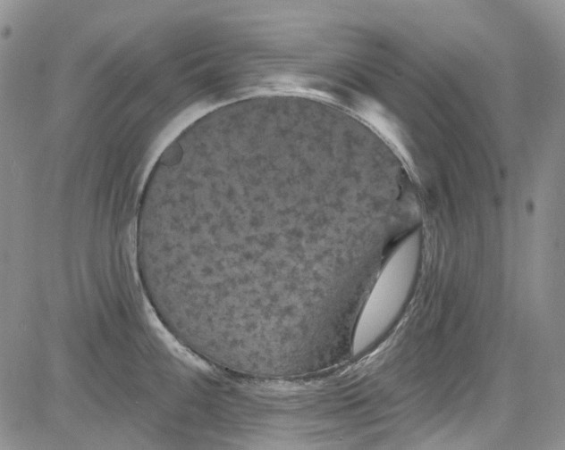 X0000084051100200703022208