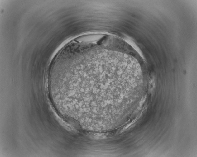 X0000084051101200703022208