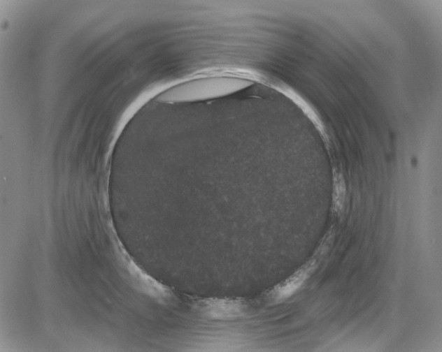 X0000084051102200703022208