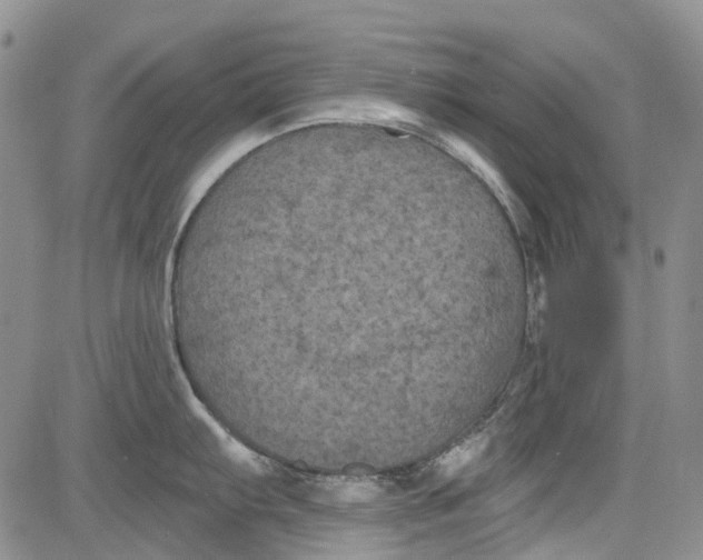 X0000084051103200703022208