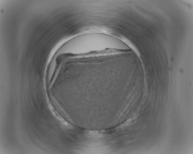 X0000084051104200703022208