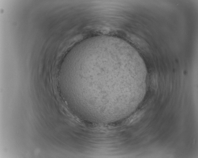 X0000084051105200703022207