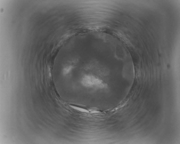 X0000084051106200703022207