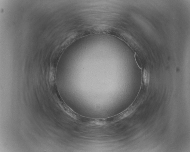 X0000084051107200703022207