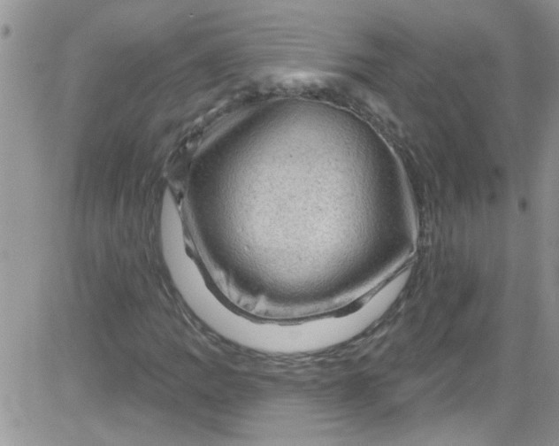 X0000084051109200703022207