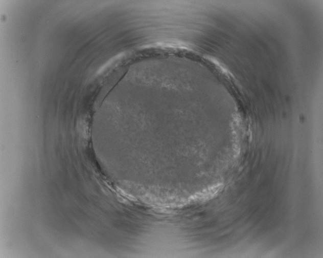 X0000084051110200703022207