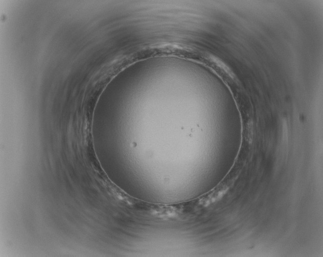 X0000084051111200703022207