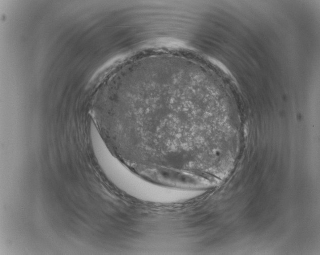 X0000084051112200703022207