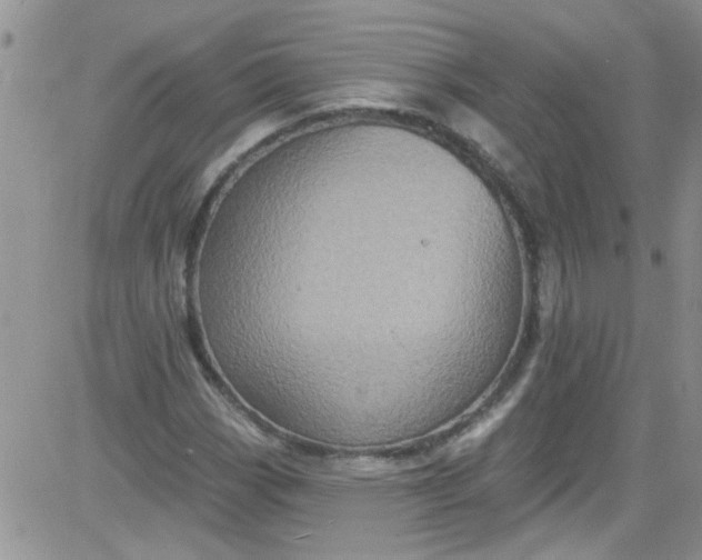 X0000084051113200703022207