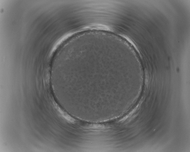 X0000084051115200703022207