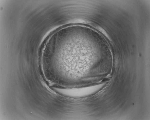 X0000084051116200703022207