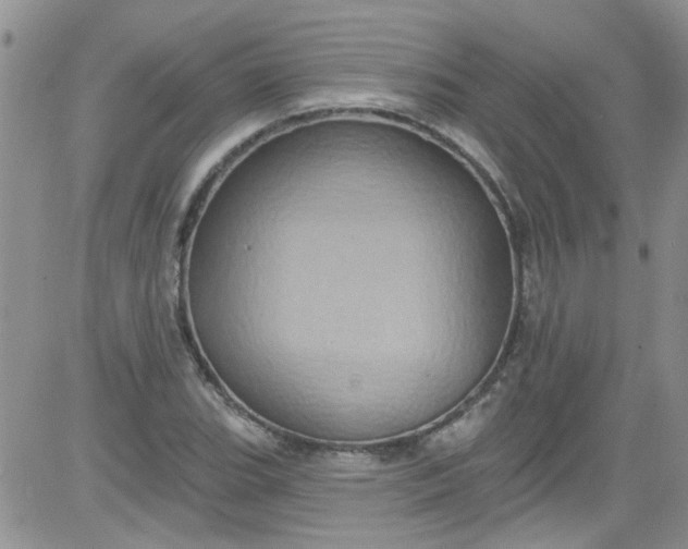 X0000084051119200703022208