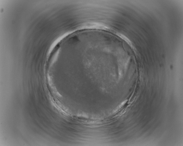 X0000084051120200703022208