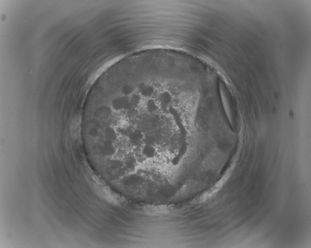 X0000084051121200703022208