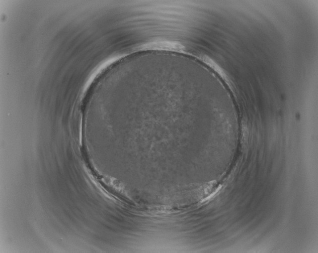 X0000084051123200703022208