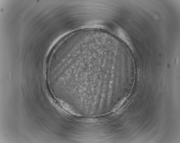 X0000084051124200703022208