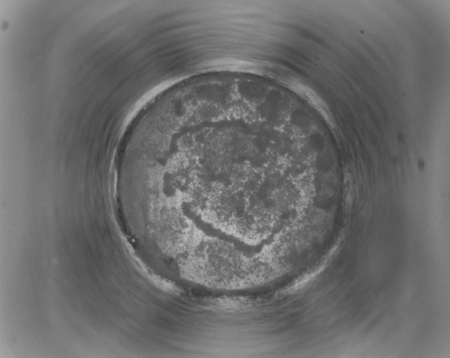 X0000084051125200703022208