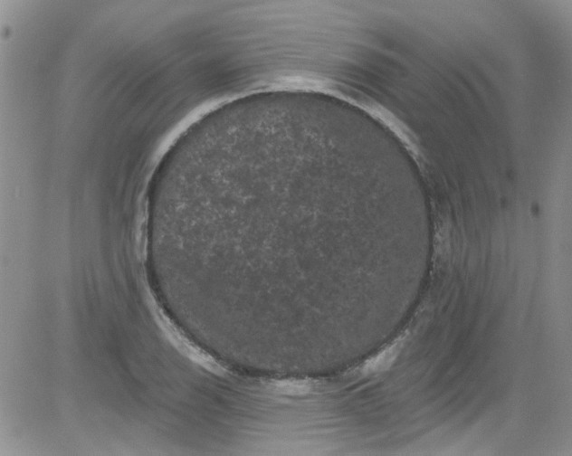 X0000084051126200703022208