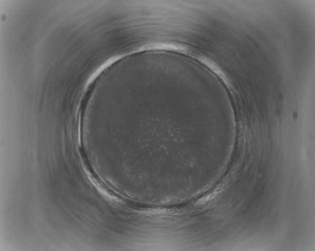 X0000084051127200703022208