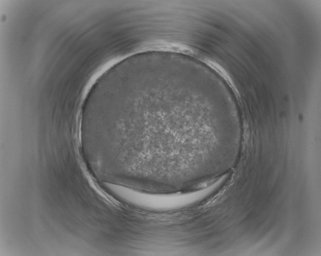 X0000084051128200703022208