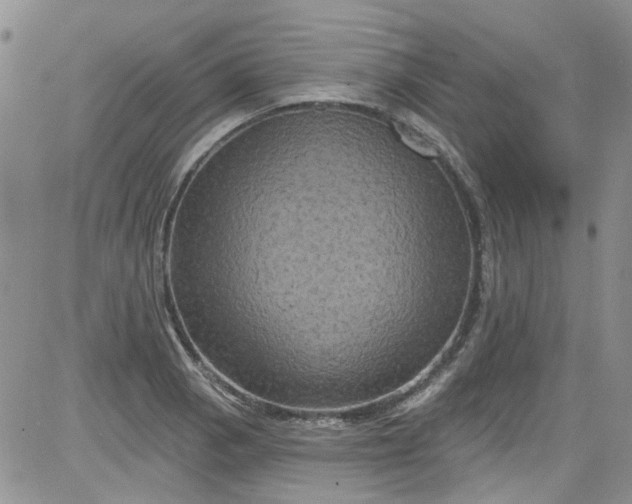 X0000084051129200703022208