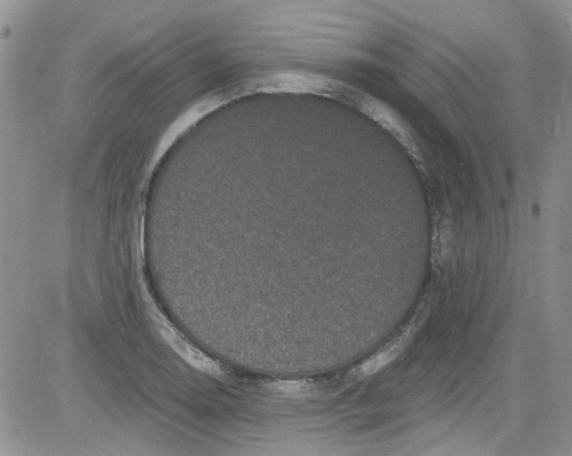 X0000084051130200703022208