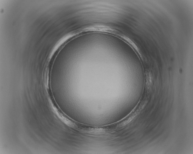 X0000084051131200703022208