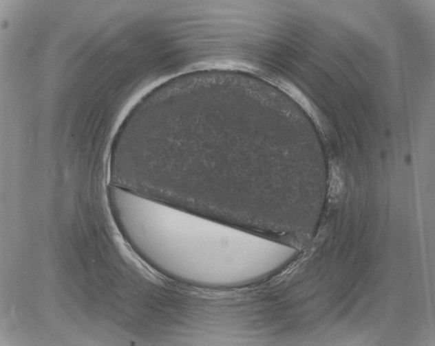 X0000084051132200703022208