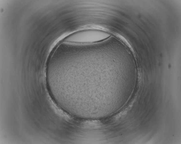 X0000084051133200703022208