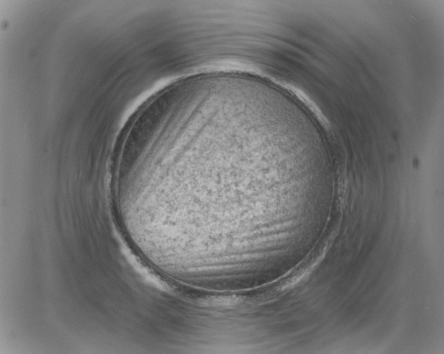 X0000084051134200703022208