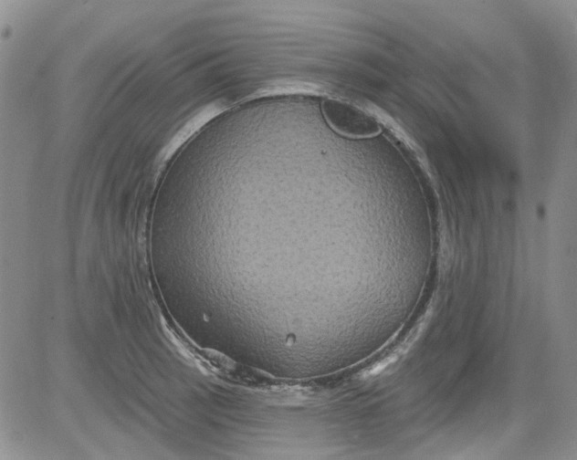 X0000084051137200703022208